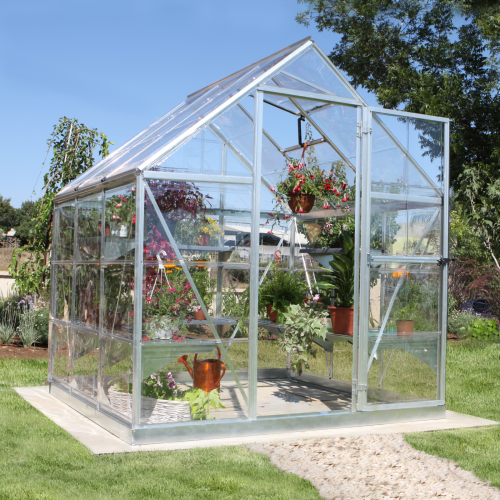 Side view of the MAZE Harmony Greenhouse in a garden setting with sunlight shining through the clear panels.