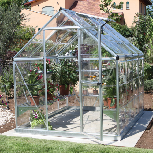 MAZE Harmony Greenhouse placed in a lush garden, filled with healthy plants.