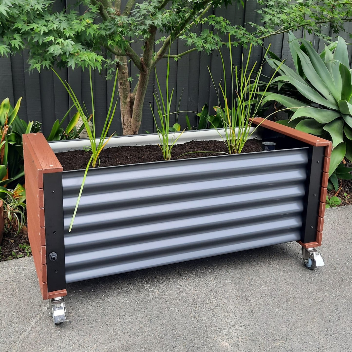 Artesian - 3-Cell Eco Board Wicking Planter Box