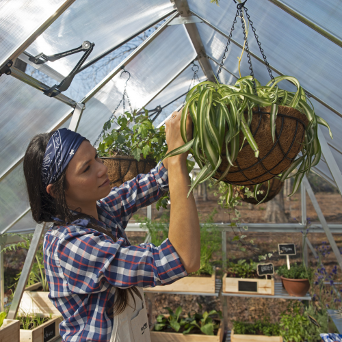  Woman inside the greenhouse hanging plants, showcasing the spacious interior and large double-doors