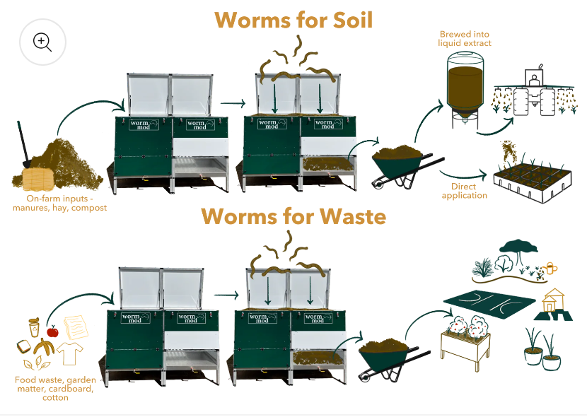 Worm Mod instructions - Worms Downunder - Australian Made - Australia